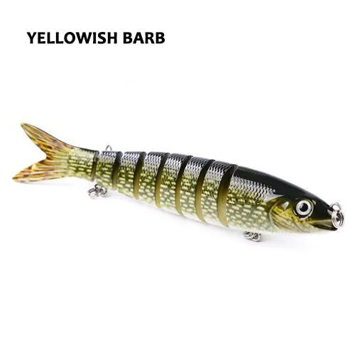 Yellowish Barb