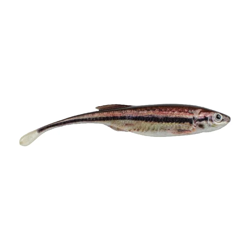 Fishing line durable stability-Berkley PowerBait Drip Minnow 4" HD Blacknose Shiner 5ct