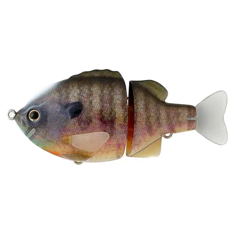 Natural Ghost Gill #12